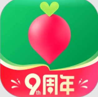 叮咚买菜官网下载安装手机版