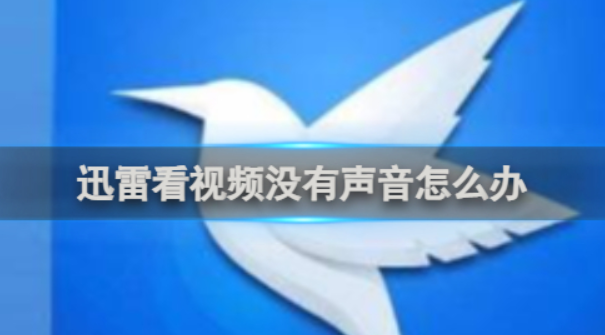 迅雷看看播放有画面没声音？一步步排查修复全教程