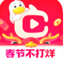 点淘最新版安卓版