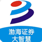 渤海证券大智慧手机版官方免费下载