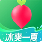 叮咚买菜下载安装官方免费版