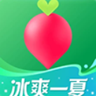 叮咚买菜官网下载安装手机版