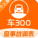 车300二手车app官方最新安卓版下载