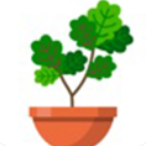 植物日记游戏安卓版