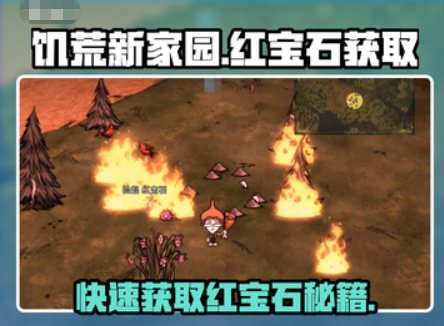 饥荒红宝石怎么获得？新手快速收集红宝石攻略